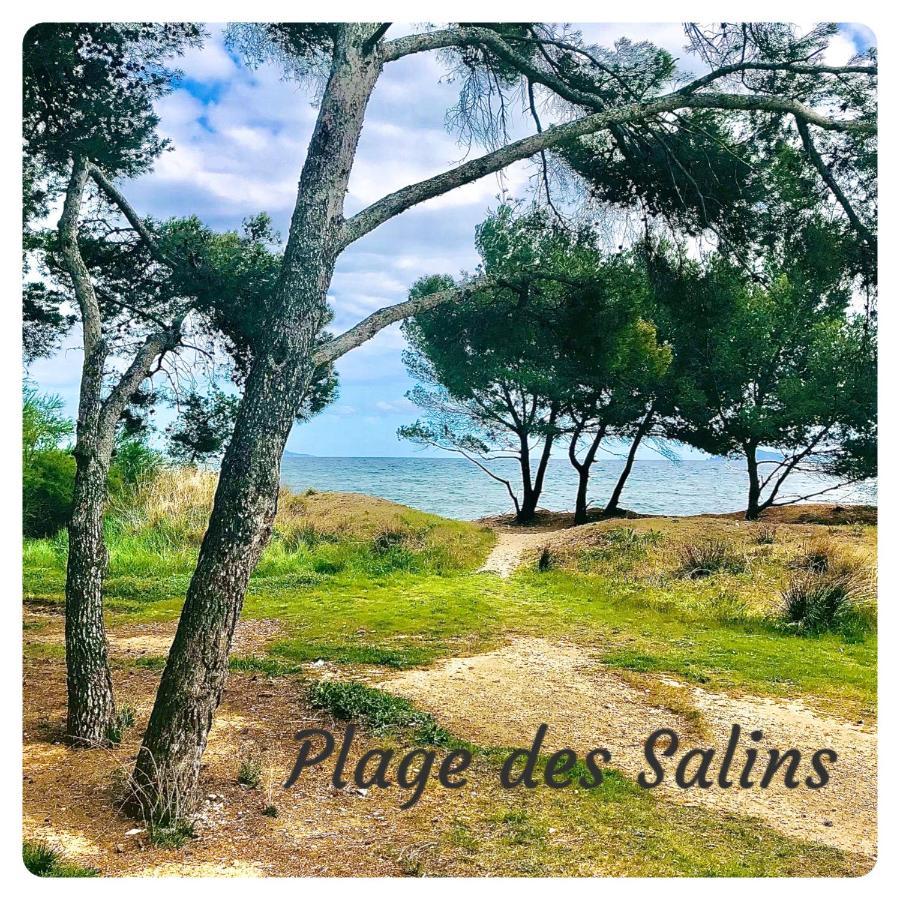 Studio Port D'Hyeres Vue Mer Et Iles De Porquerolles Et Port-Cros Εξωτερικό φωτογραφία