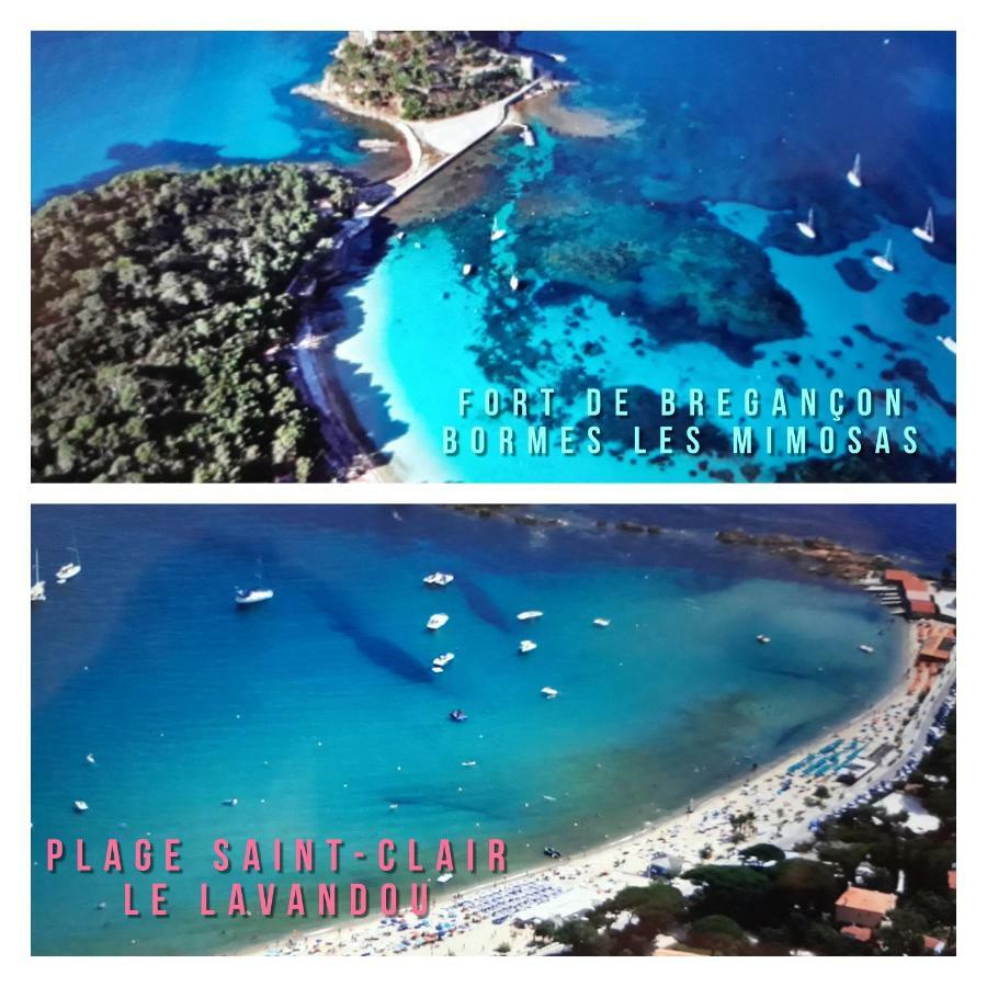 Studio Port D'Hyeres Vue Mer Et Iles De Porquerolles Et Port-Cros Εξωτερικό φωτογραφία